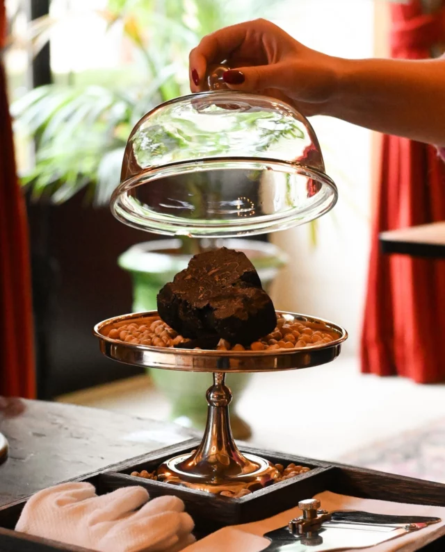 Profitez de la saison de la truffe pour sublimer votre expérience à La Table d'Estoublon. Offrez-vous de la truffe fraîchement coupée en généreuses lamelles sur votre plat.
•
Enjoy the truffle season to enhance your experience at La Table d'Estoublon. Add a freshly sliced truffle to your dish.
#estoublon #latabledestoublon #restaurantprovence #alpilles #bauxdeprovence #fontvieille #food #restaurant #truffe #truffle