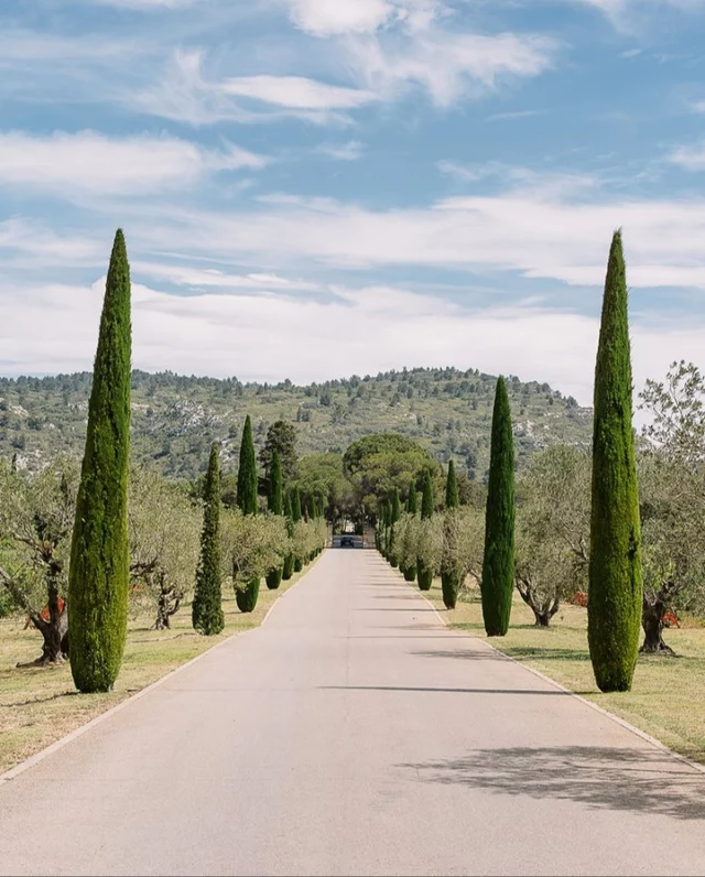 L'expérience commence dès votre entrée au domaine. Notre allée majestueuse vous guide, entre vignes et oliviers, jusqu'à une parenthèse gourmande à savourer à La Table d'Estoublon.
•
The experience begins as soon as you enter the estate. Our majestic driveway guides you through vineyards and olive groves to a gourmet interlude at La Table d'Estoublon.
Photo : sylvain_bouzat
#latabledestoublon #estoublon #provencerestaurant #bauxdeprovence #southoffrance