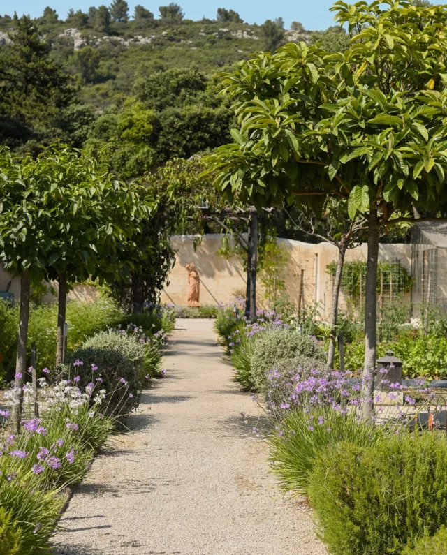 Au potager d’Estoublon, la permaculture guide nos gestes.
Une célébration de la vie, où la nature s’exprime pleinement et nous offre ses fruits et légumes les plus savoureux.
•
At the Estoublon vegetable garden, permaculture guides our actions.
A celebration of life, where nature expresses itself fully and offers us its most delicious fruits and vegetables.
#latabledestoublon #estoublon #provence #provencerestaurant #summerinprovence #bauxdeprovence #alpilles #potager #provencalgarden