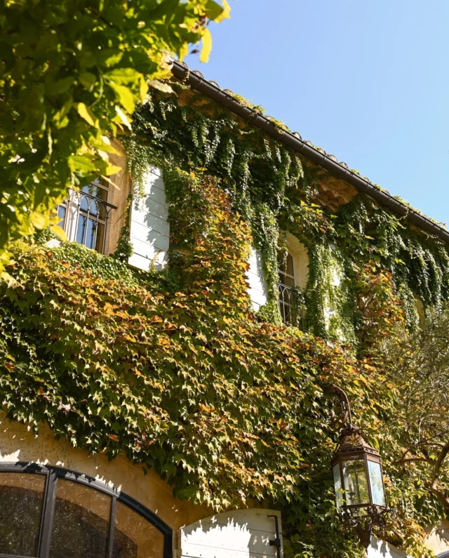 L’automne s’installe doucement dans le décor de la terrasse de La Table.
•
Autumn is slowly settling in on the terrace of La Table.
#estoublon #latabledestoublon #provence #restaurant