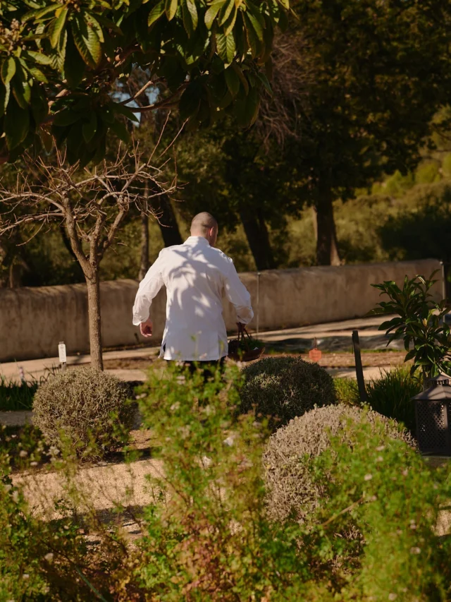 Harvested with care, served at its best.
#AirellesCollection #LaTabledEstoublon