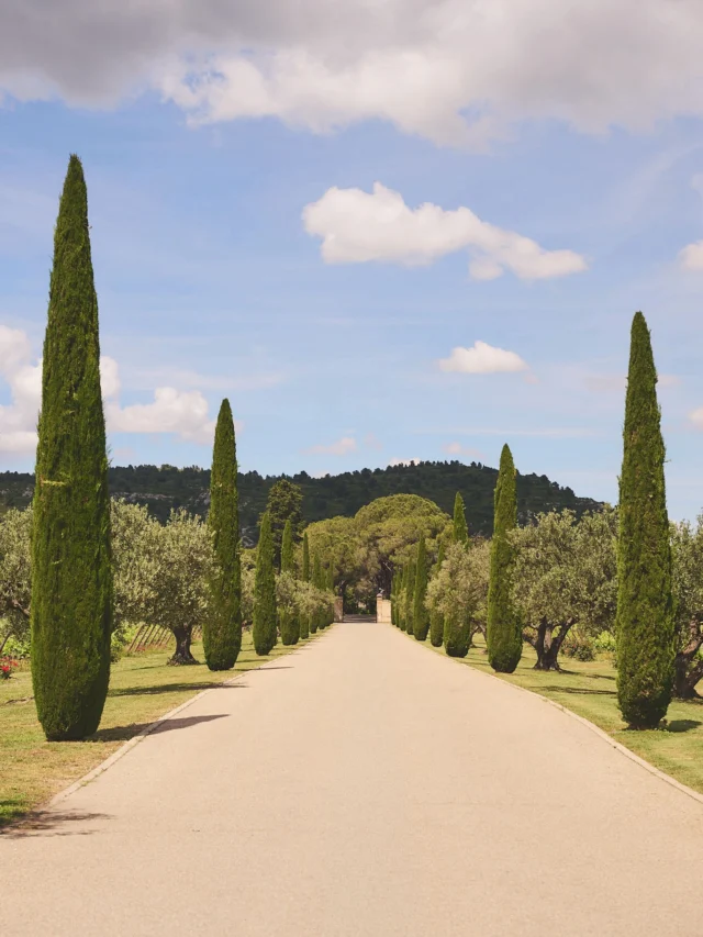 A slow entrance into Provence, ending in a long lunch at the table.
#AirellesCollection #LaTabledEstoublon